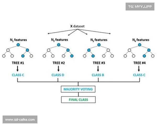 “三元合力”治理模型激活基层赛事组织效能